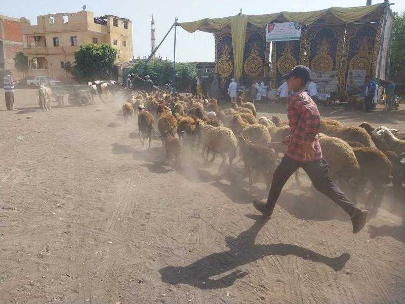 فحص 2547 طائرا ورأس ماشية خلال قافلة بيطرية في الغربية| صور