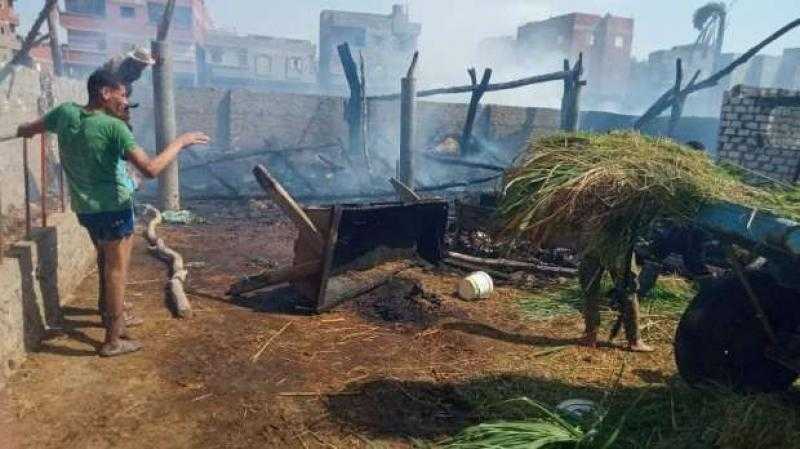 نفوق عدد من الماشية بسبب حريق في حظيرة مواشي بالدقهلية