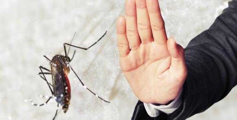 خطوات طرد البعوض بالخل الأبيض
