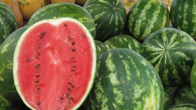 أخصائي تغذية يكشف مفاجأة عن البطيخ