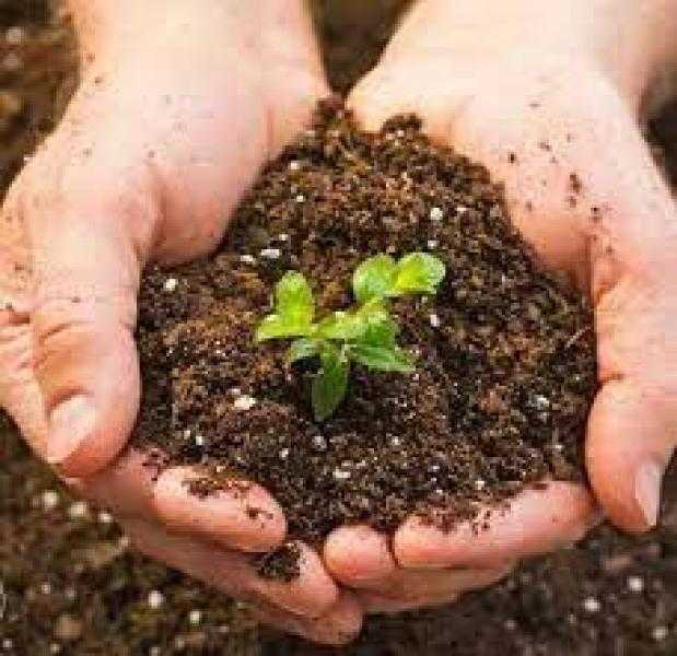 وكيل الزراعة بالمنيا يناقش مع مديري الإدارات صرف الأسمدة