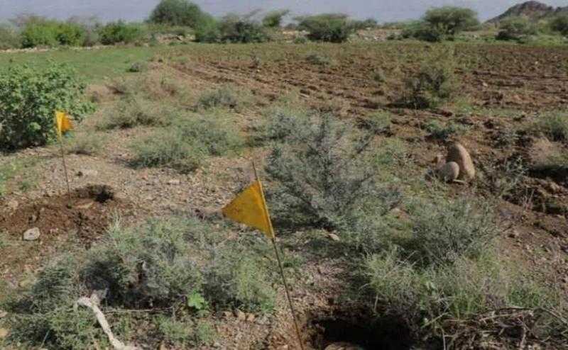 مركز الملك سلمان للإغاثة ينزع خلال أسبوع 849 لغمًا عبر مشروع ”مسام” في اليمن