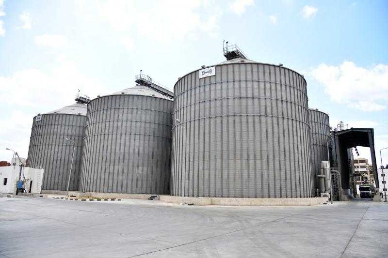 توريد 161 ألف 627 طن من القمح بمخازن الغربية بنسبة 92.6%