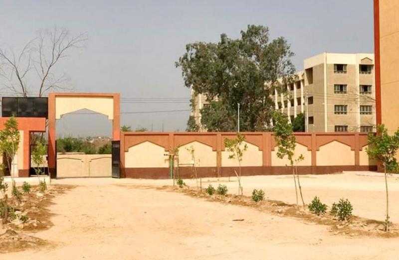 زراعة 500 شجرة مثمرة على طرق مدينة أخميم في سوهاج| صور