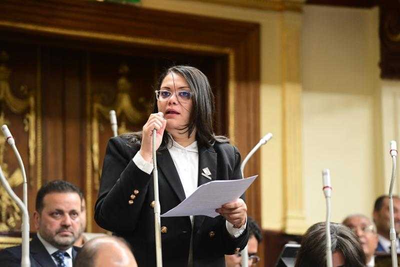 النائبة مارسيل سمير: التضخم لا يُؤثر فقط على الفقراء وإنما في القطاعات الإنتاجية أيضًا