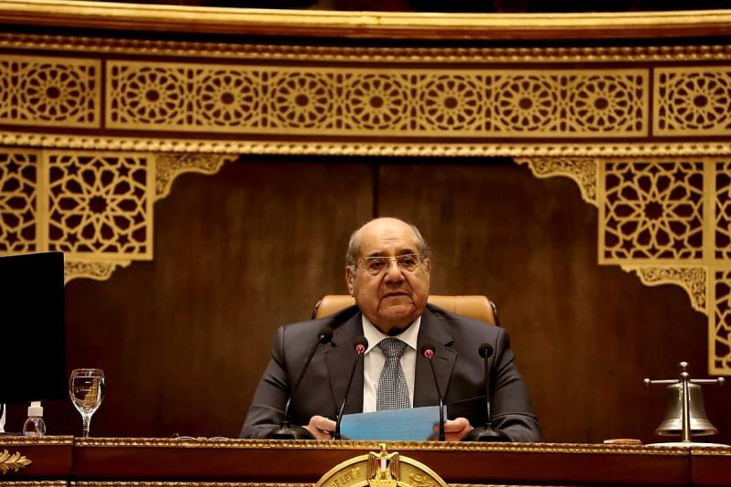 رئيس مجلس الشيوخ: الدولة أولت اهتماما بالغا بالنهوض بالعمل التعانى