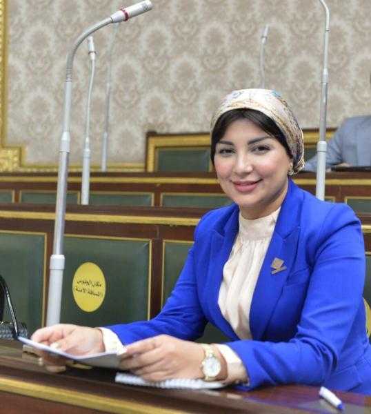 ممثلة التنسيقية بالحوار الوطني: يجب إعادة النظر في البنية التشريعية بما يتناسب مع حرية البحث العلمي