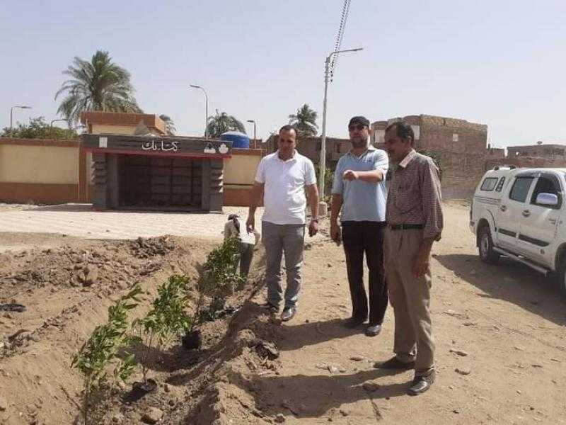 زراعة طرق وشوارع مدينة المراغة بالأشجار المثمرة بسوهاج | صور