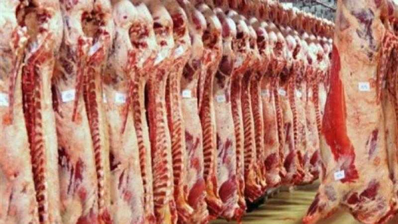 طبيب بيطري يكشف مخاطر ذبح الأضاحي في الشارع