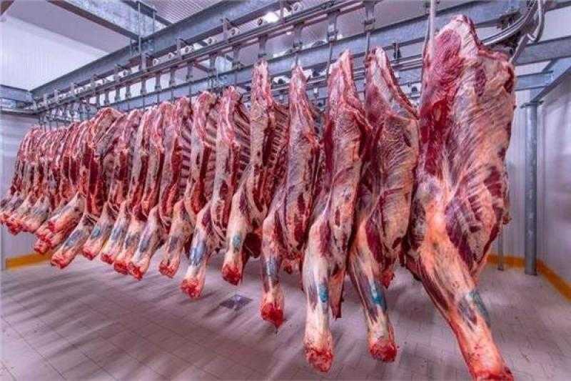 الضأن بـ 350 جنيهًا.. أسعار اللحوم اليوم الثلاثاء 20 يونيو