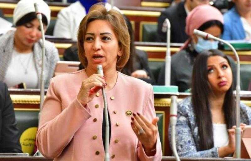 النائبة مها عبدالناصر: البيئة استوردت أجهزة لدراسة سلوك أسماك القرش ولم تستخدمها