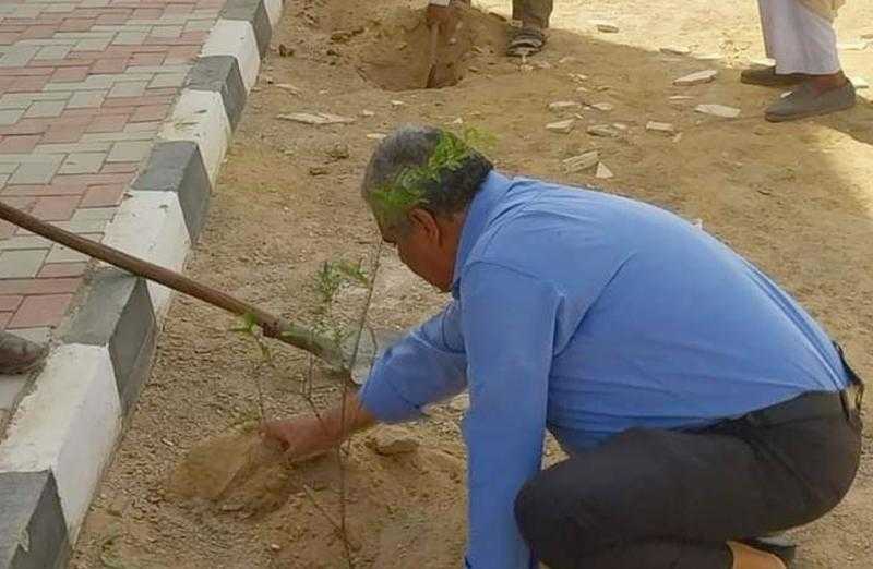 زراعة 250 شجرة في قرى ”حياة كريمة” بمركز المراغة في سوهاج| صور