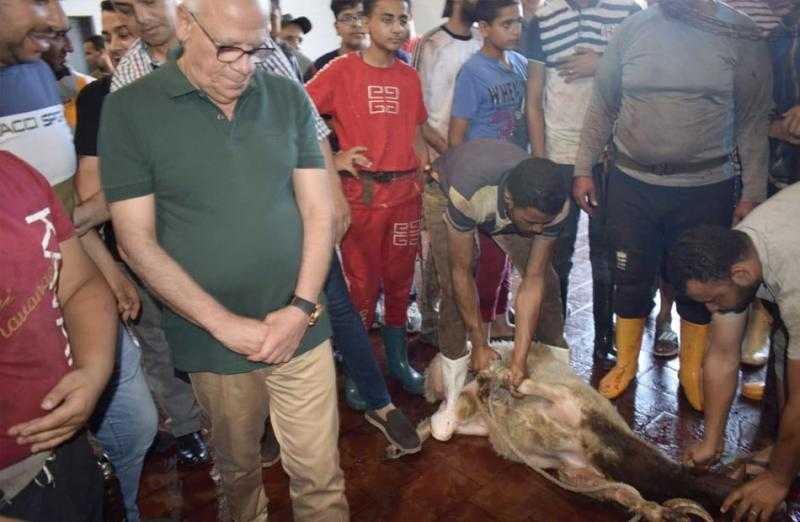 محافظ بورسعيد يناشد المواطنين بالالتزام بذبح الأضاحي في الأماكن المخصصة| صور