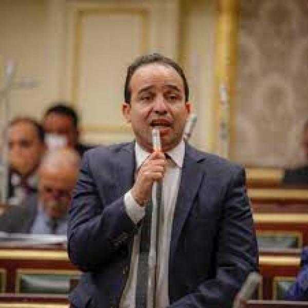 برلماني سابق: ثورة 30 يونيو أنقذتنا من دمار شامل