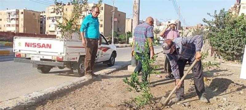 زراعة 80 شجرة مثمرة في مركز زفتى بالغربية
