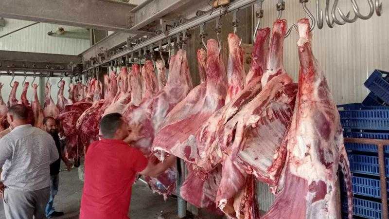 التموين: زيادة معدلات ضخ اللحوم بمنافذ المجمعات الاستهلاكية استعدادًا للعيد