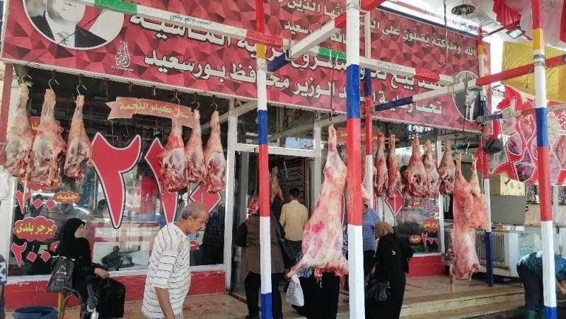 بورسعيد تستعد لعيد الأضحى بالعديد من المبادرات ومنافذ بيع اللحوم.. صور