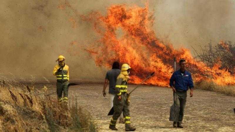 ارتفاع درجات الحرارة في بريطانيا واندلاع حريق في منطقة للمراعي العشبية بلندن