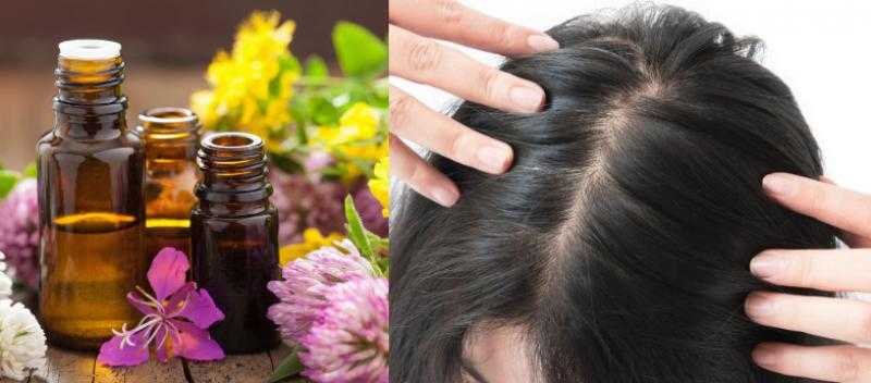 طرق علاج الشعر بالأعشاب الطبيعية.. بالكركدية والشاي الأخضر