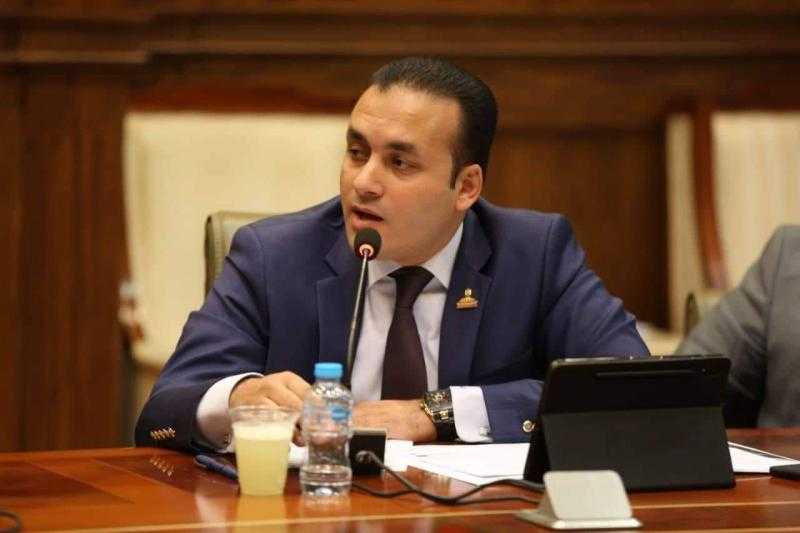 النائب عمرو فهمي: ثورة 30 يونيو أعادت مصر إلى الصف العربي