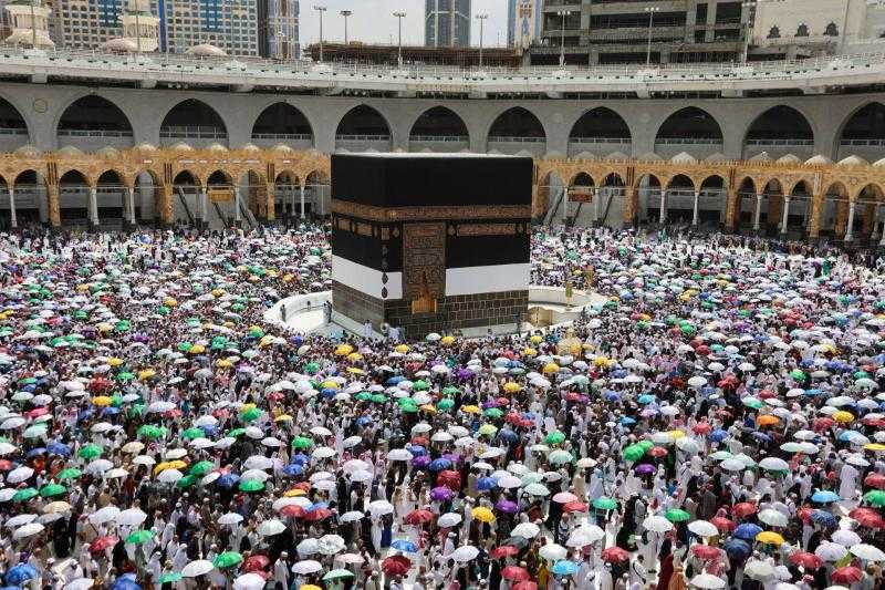 السعودية: 600 ألف رأس من الأغنام حصيلة النسك هذا العام