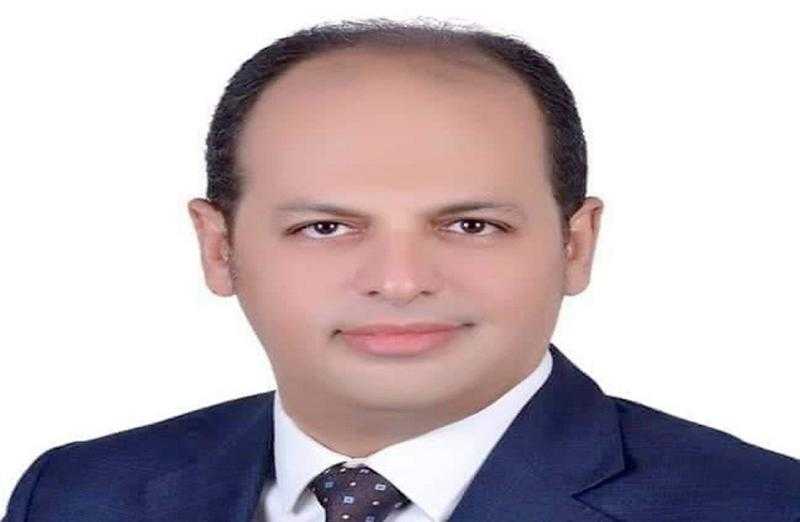 برلماني: 30 يونيو أهم ثورات العصر الحديث وأنقذت البلاد من الفوضى
