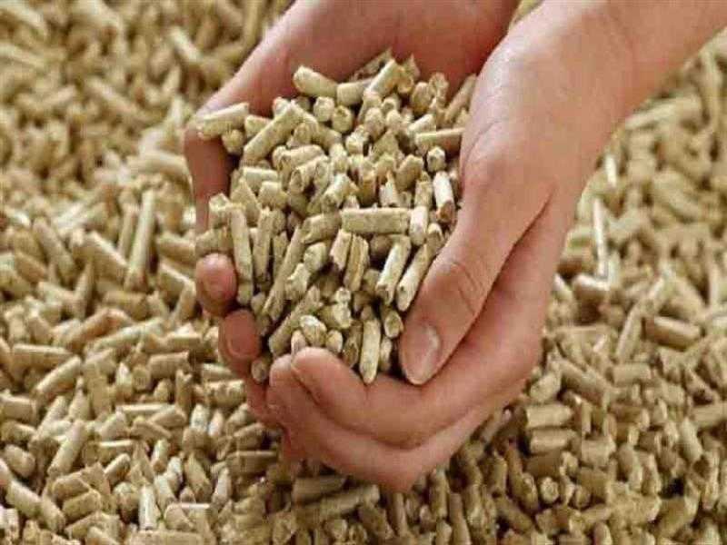 الإفراج عن 6 ملايين طن من مستلزمات الأعلاف بالتنسيق مع البنك المركزي