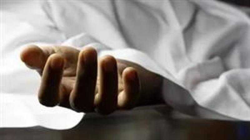 مصرع أب وابنته وإصابة الأم و3 آخرين في حادث تصادم بالجمالية في الدقهلية