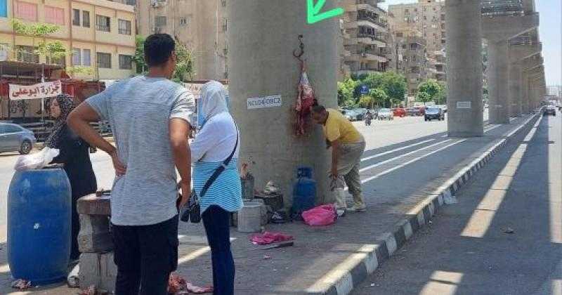 جزارة على أعمدة المونوريل.. خبير قانوني: فعل ساذج عقوبته تصل إلى المؤبد