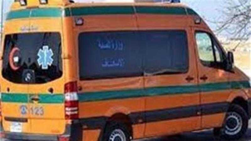 إصابة شاب بجروح قطعية خلال مشاجرة بمحافظة الغربية