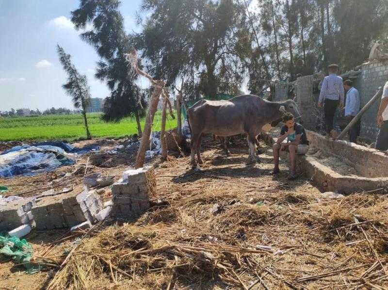 إزالة 12 حالة تعدٍ على الأراضي الزراعية في الشرقية