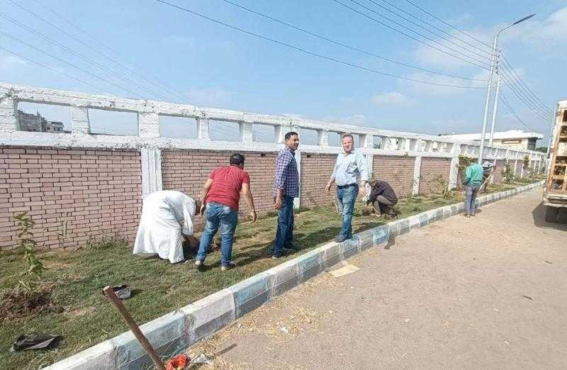 زراعة 75 شجرة مثمرة في طنطا