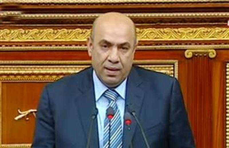 برلماني: الرئيس السيسي يدعم المؤسسات الأهلية باعتبارها شريكا في معركة التنمية