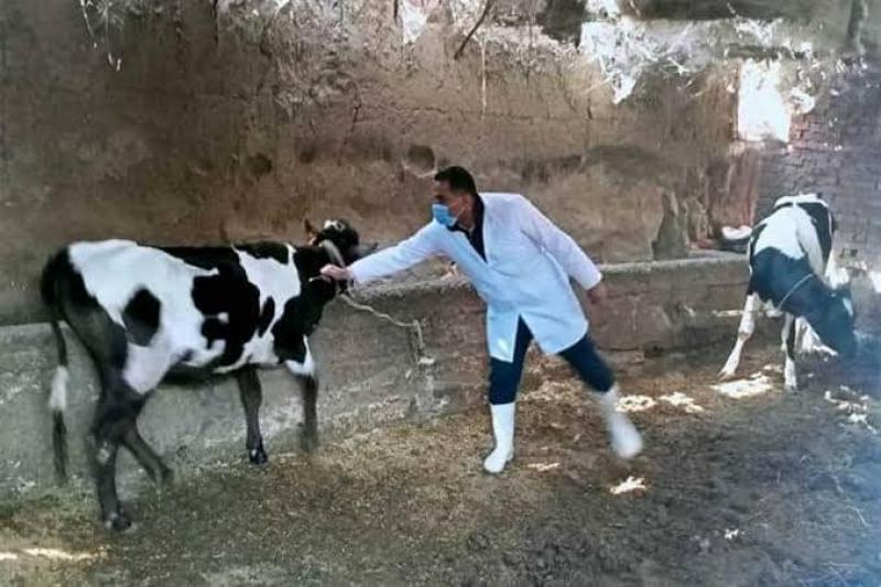 خط أحمر