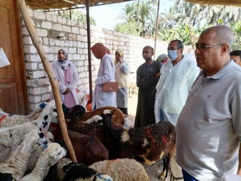 انطلاق قافلة بيطرية علاجية بمدينة إسنا | صور