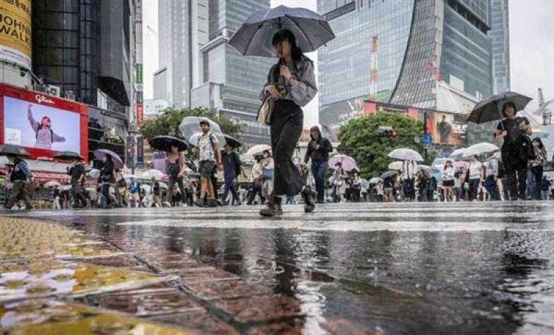إجلاء 135 شخصا من منازلهم بسبب الأمطار الغزيرة في كوريا الجنوبية