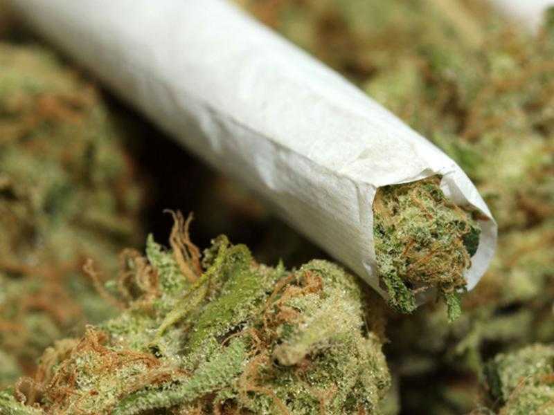 ضبط راكب بحوزته نبات وزيوت وبذور ماريجوانا وحلوى ولبان بالمخدرات
