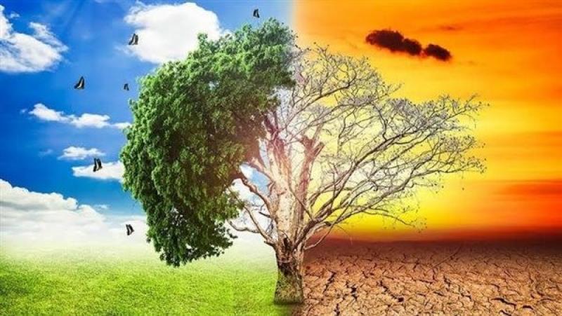 وزيرة البيئة: إفريقيا تحتاج 38 مليار دولار للتكيف مع التغيرات المناخية