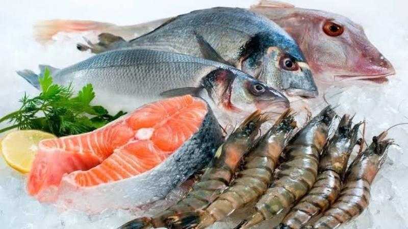 أسعار الأسماك اليوم الأربعاء 19 يوليو 2023