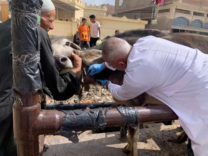 خط أحمر
