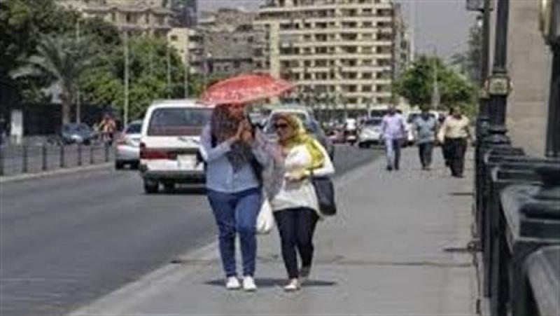 الجمعية المصرية للحساسية والمناعة تقدم روشتة لمواجهة أمراض الحر