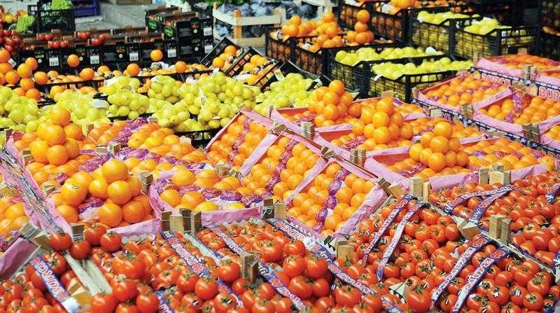 ارتفاع صادرات مصر الزراعية يتجاوز 4 ملايين و654 ألف طن حتى الآن