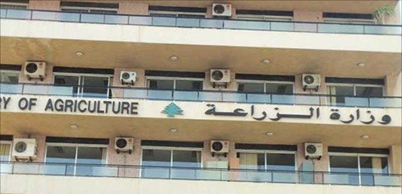 الزراعة: مشروع الألبان استهدف 826 مركزا ضمن مبادرة البنك المركزى للقروض