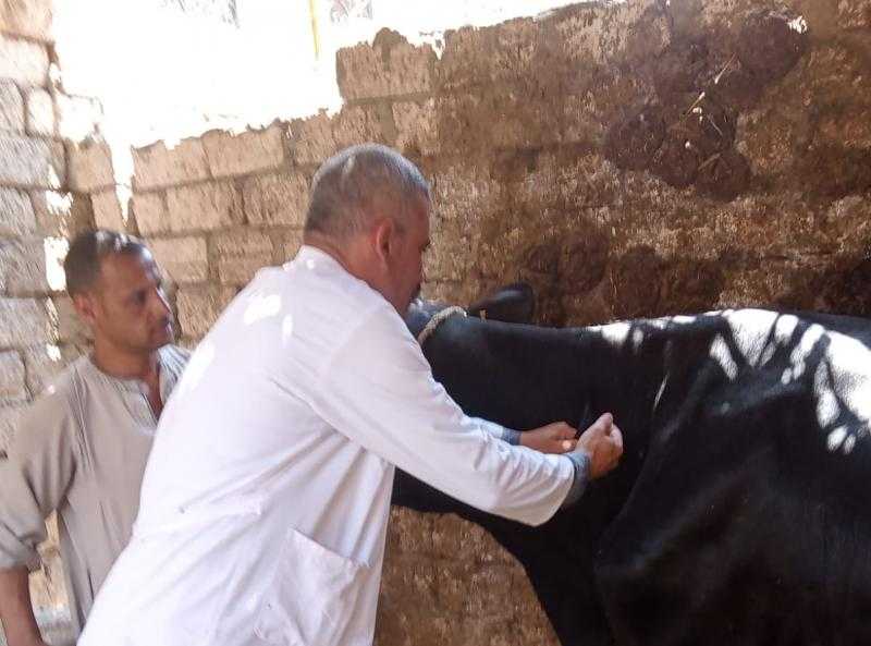 بيطري البحيرة: علاج 140 رأس ماشية في مركز أبو حمص