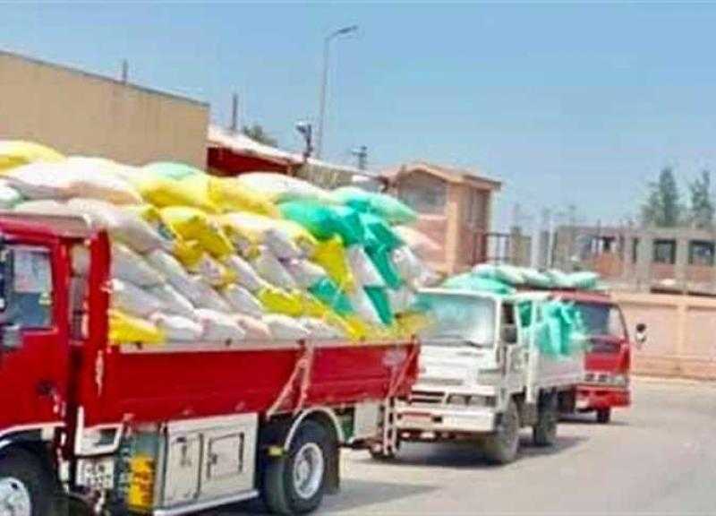 محافظ المنيا: تسلم 474 ألف طن قمح حتى الآن