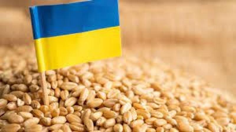 الناتو يدرس اتخاذ خطوات لتسهيل تصدير الحبوب من أوكرانيا