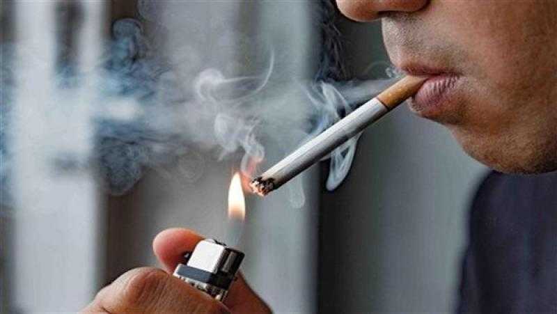 برلماني: ليس لنا يد في مشكلة السجائر.. والسوق السوداء السبب