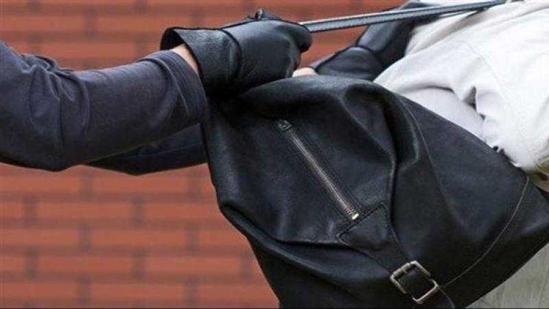 حبس سائق توك توك لاتهامه بسرقة حقيبة يد من سيدة بالوايلي
