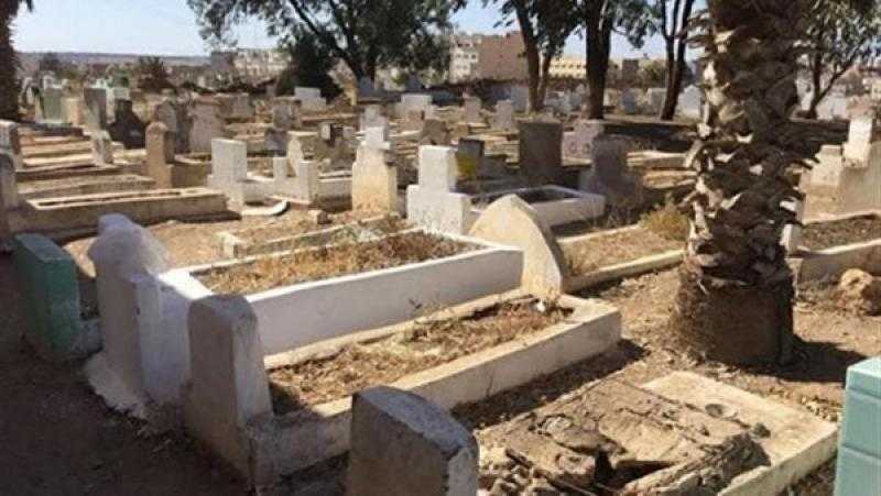 هل يشعر الميت بزوار قبره؟.. أمين الفتوى يجيب