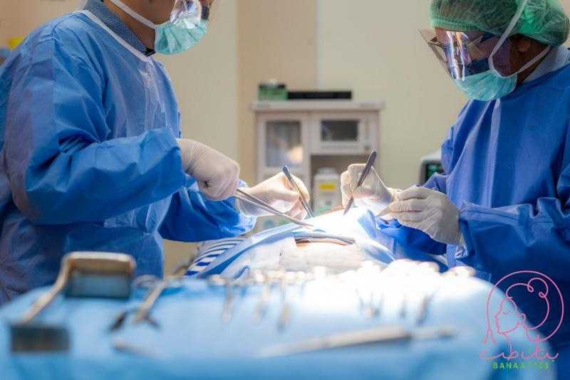 عضو مجلس نقابة الأطباء: 25% من وفيات السيدات خلال الولادة بسبب القيصرية